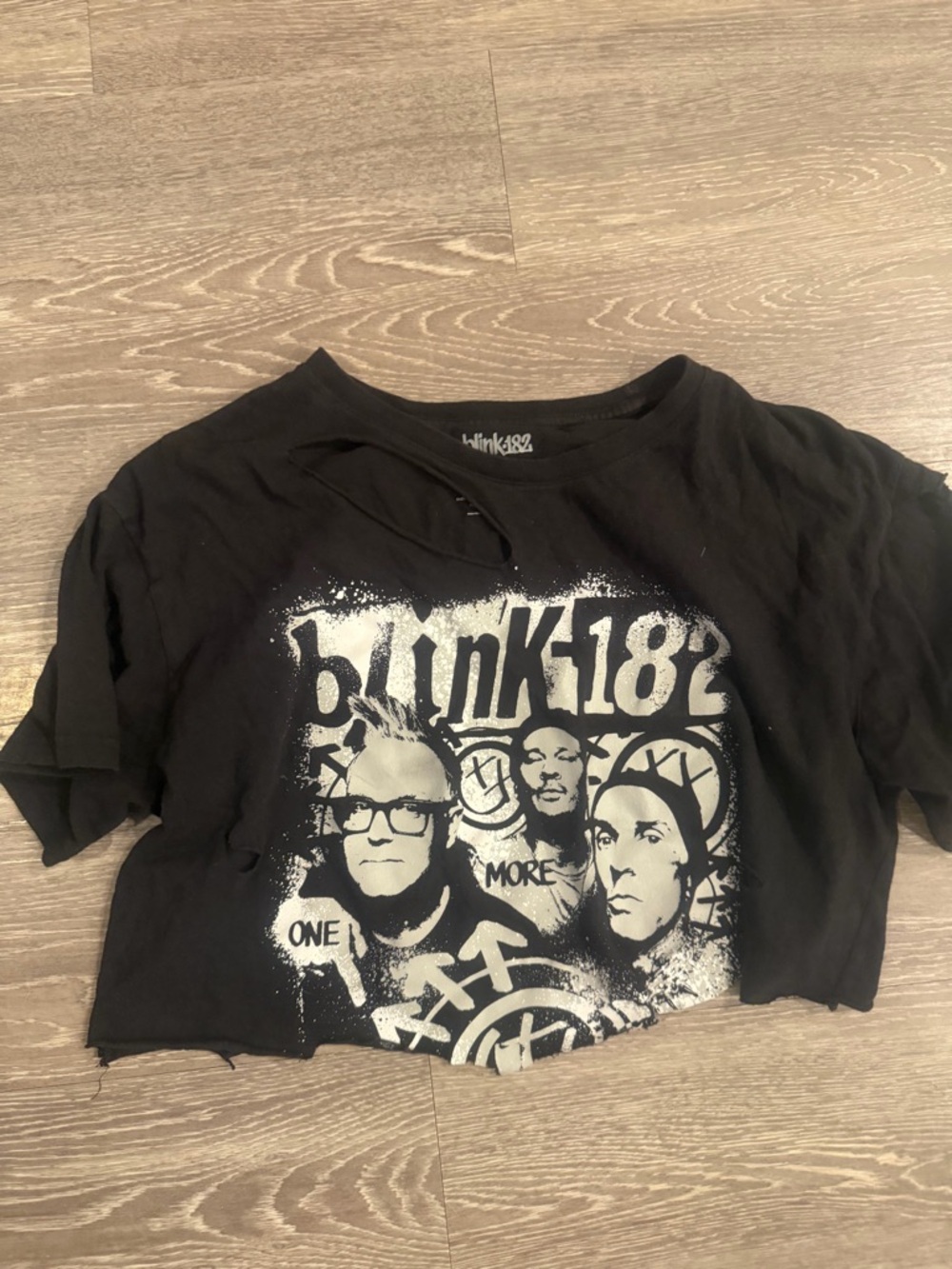 Blink-182 Cropped Band Tee Black Graphic T-Shirt Raw Hem Size L